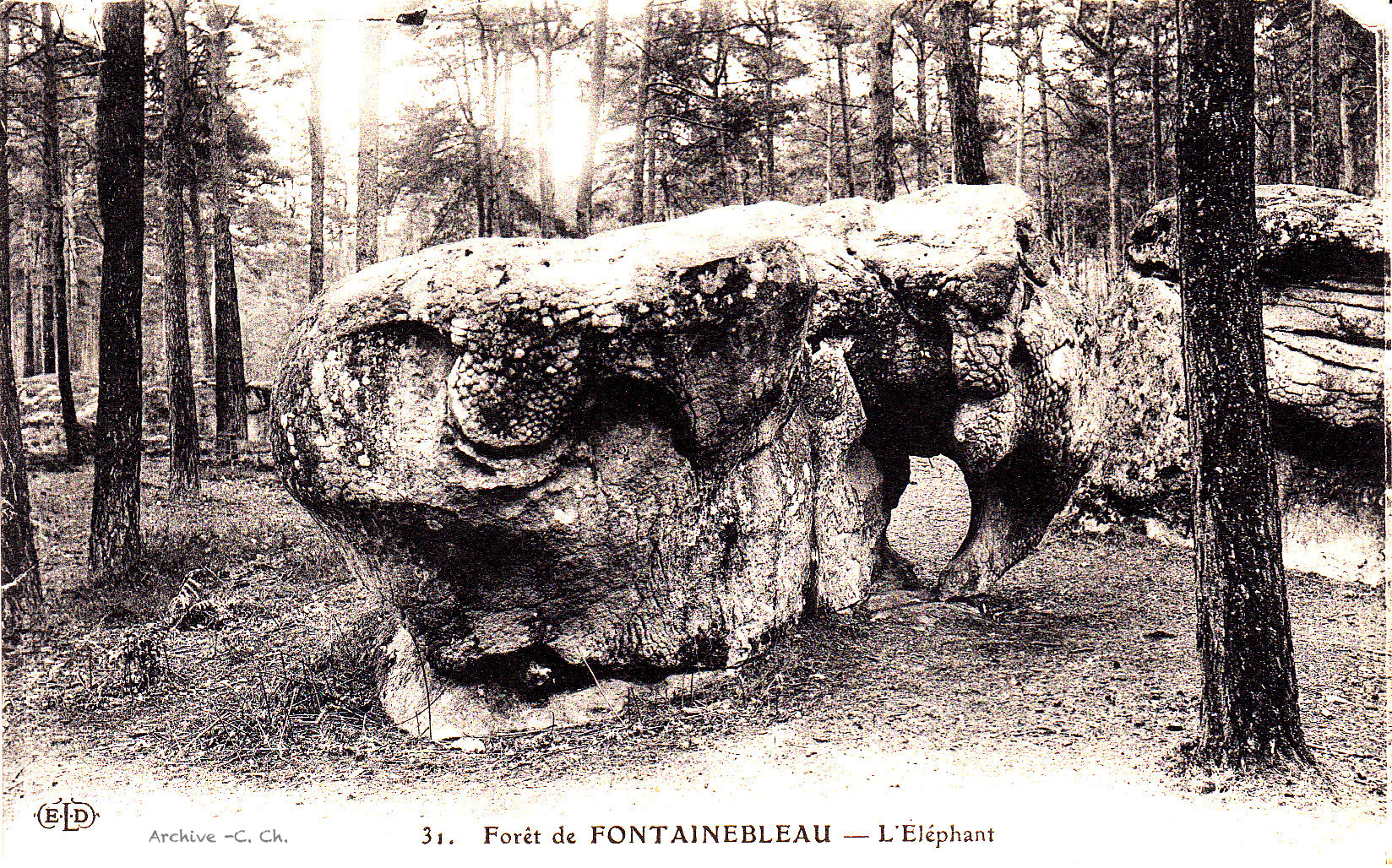 Elephant de Barbizon1